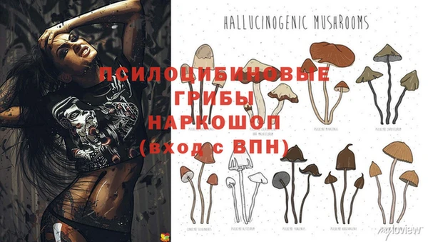 гашишное масло Вязьма
