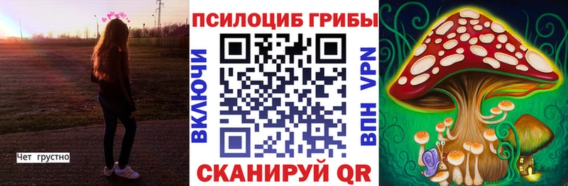 хочу наркоту  Копейск  Псилоцибиновые грибы Cubensis 